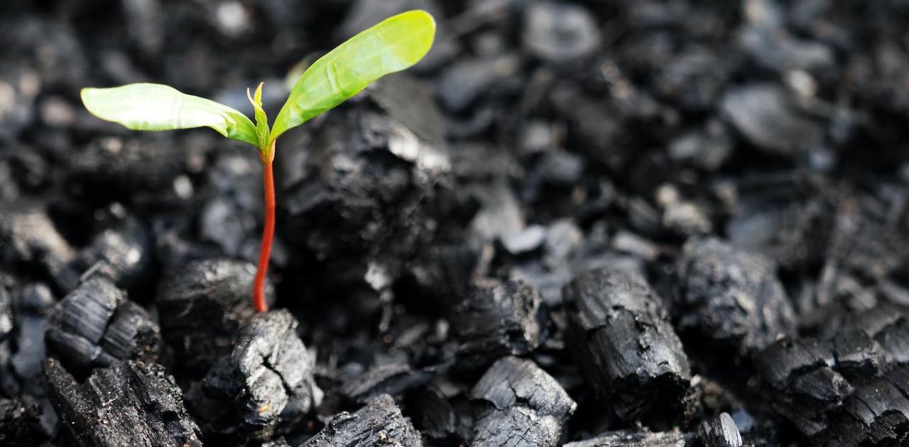 Investing in technology efficiency - why offsets can't save us